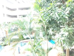 Blk 120 Mcnair Spring (Kallang/Whampoa), HDB 4 Rooms #456775011